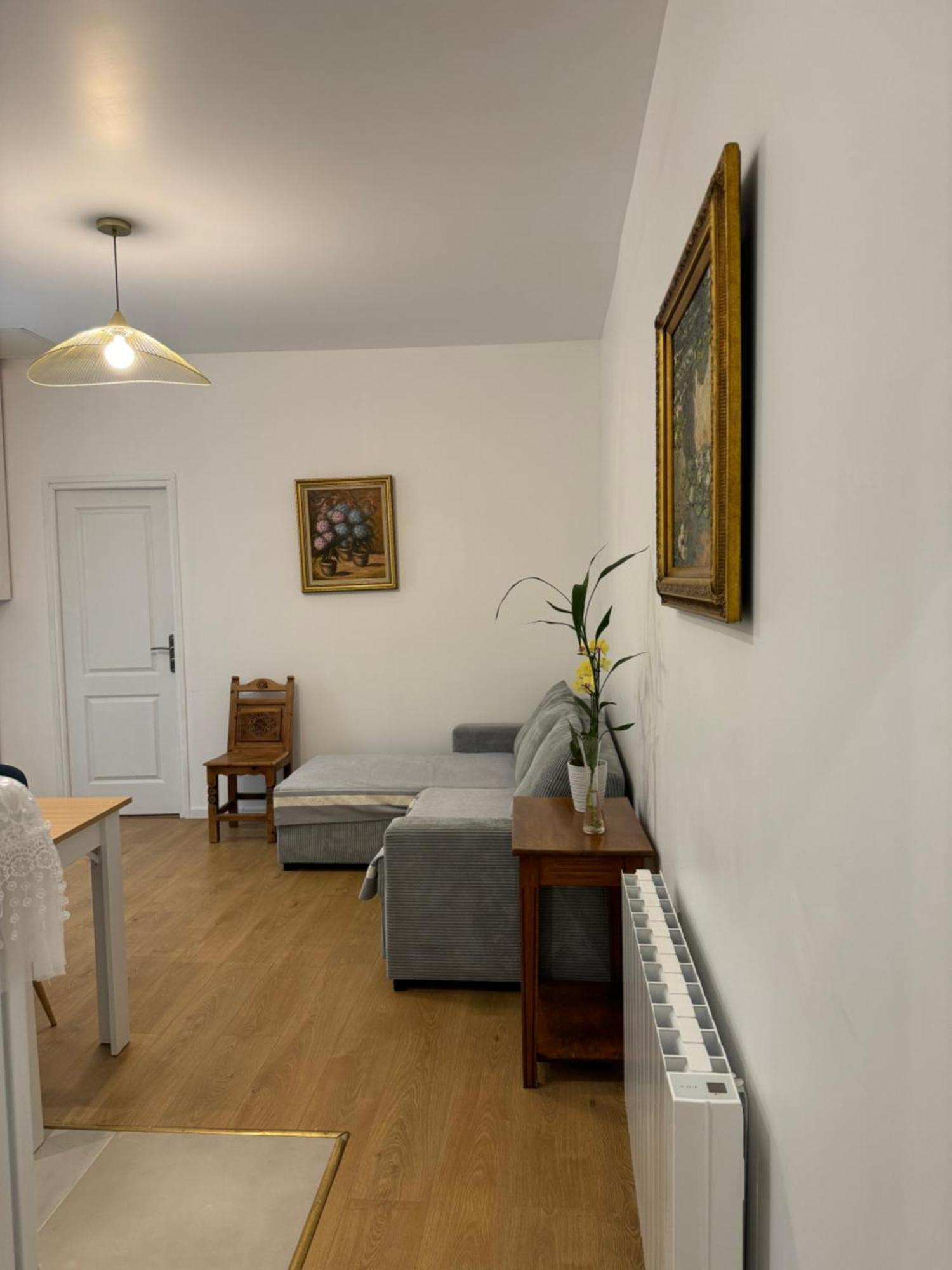 Appartement Meuble Tout Confort Chalon-sur-Saône Eksteriør bilde